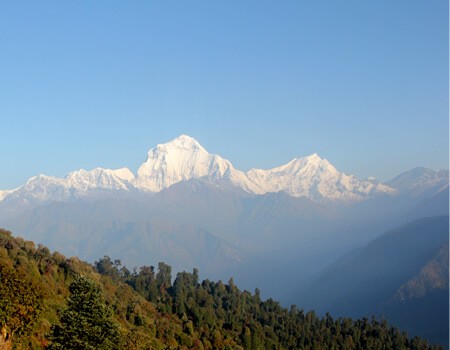 Ghorepani Poon hill trek details