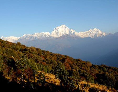 Student tour in Nepal