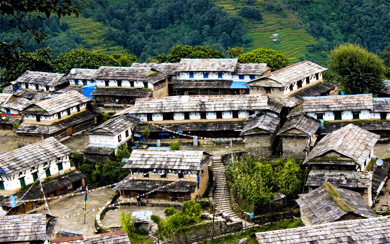 Ghorepani Poon hill trek