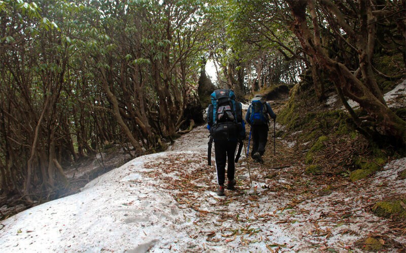 Helambu trek