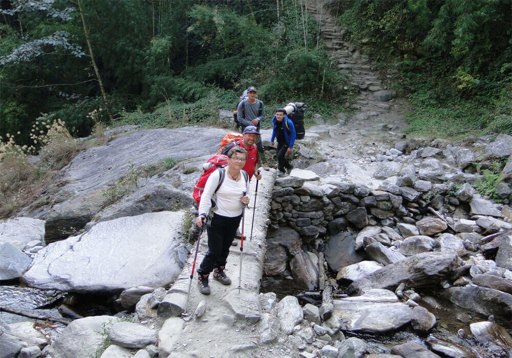annapurna base camp trekking trail through a dense forest