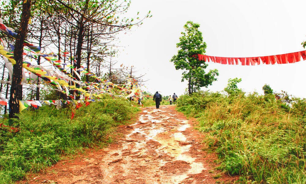 champadevi hiking trail after hattiban resort goes easy for about a half an hour. prayer flags have fixed on the sides.