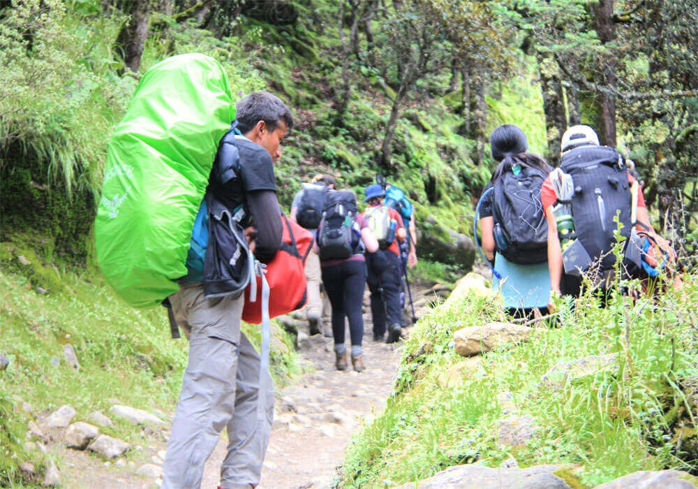 everest base camp trekking trail inside the sagarmatha national park