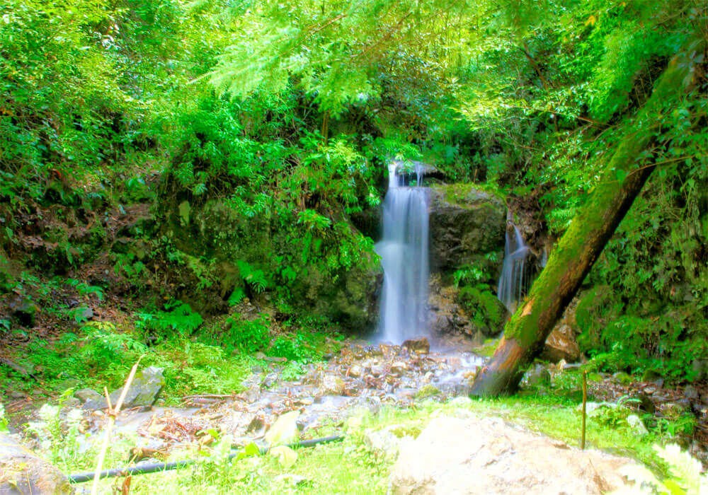 waterfall, stream and green nature of the sagarmatha national park