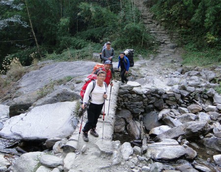annapurna base camp trekking trail through a dense forest