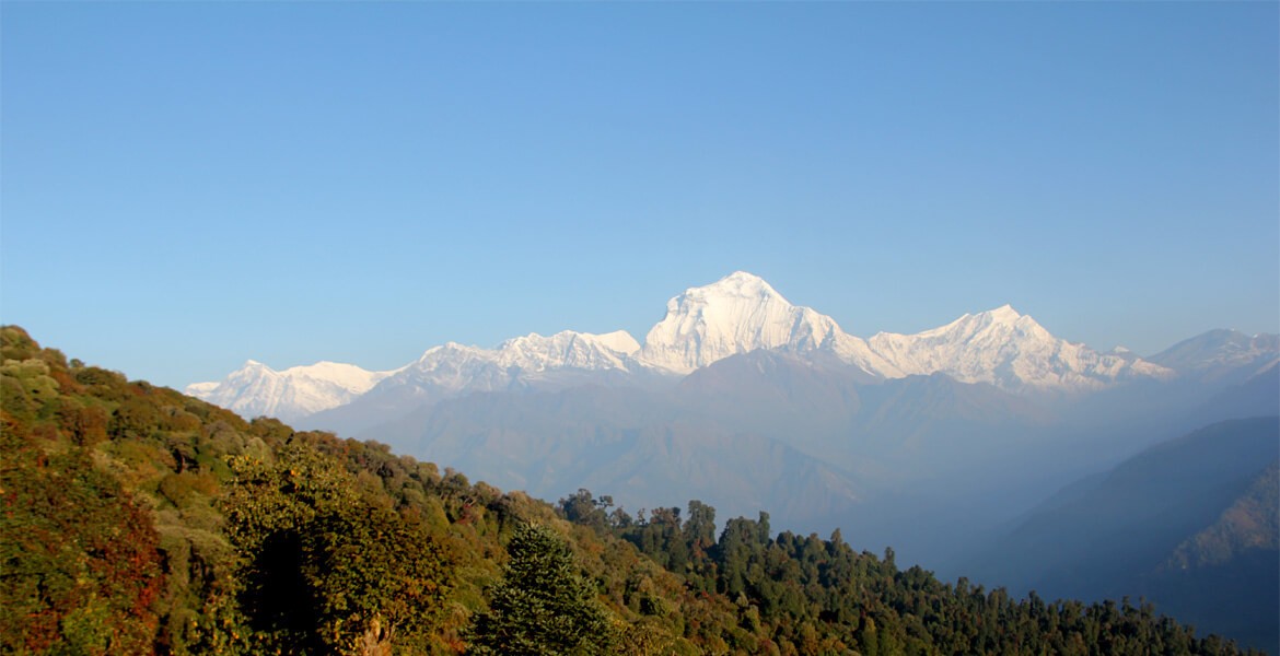 Ghorepani Poon hill trek details